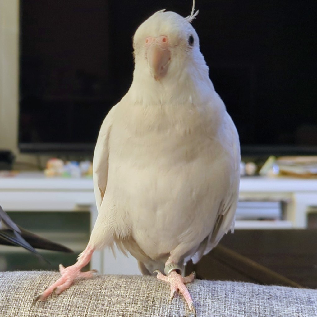 かっこいいポーズ