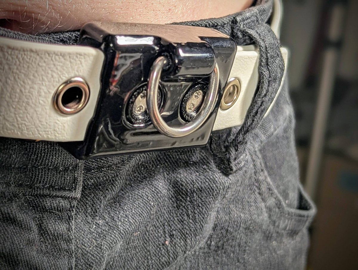 First finished prototype of my new locking belt design to keep wandering hands out of pants. High quality Biothane strapping, fully waterproof, optional D ring for easy restraint. Next version will perfect the glossy finish.

Retweet if you'd like one!