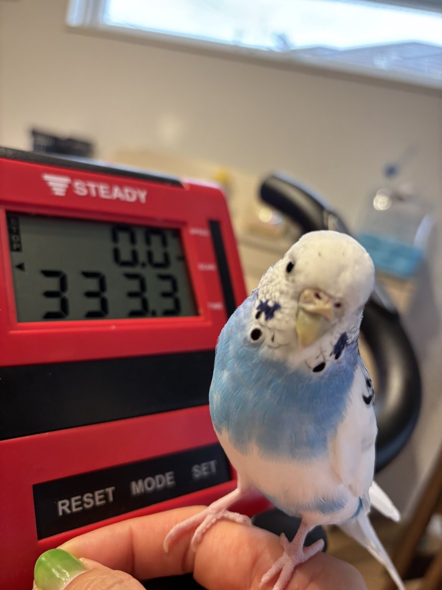 Tweet media one
