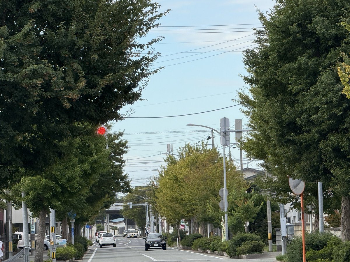 おはよ　#Akita

今日も元気に 
いってらっしゃい

#秋田市
#イマソラ