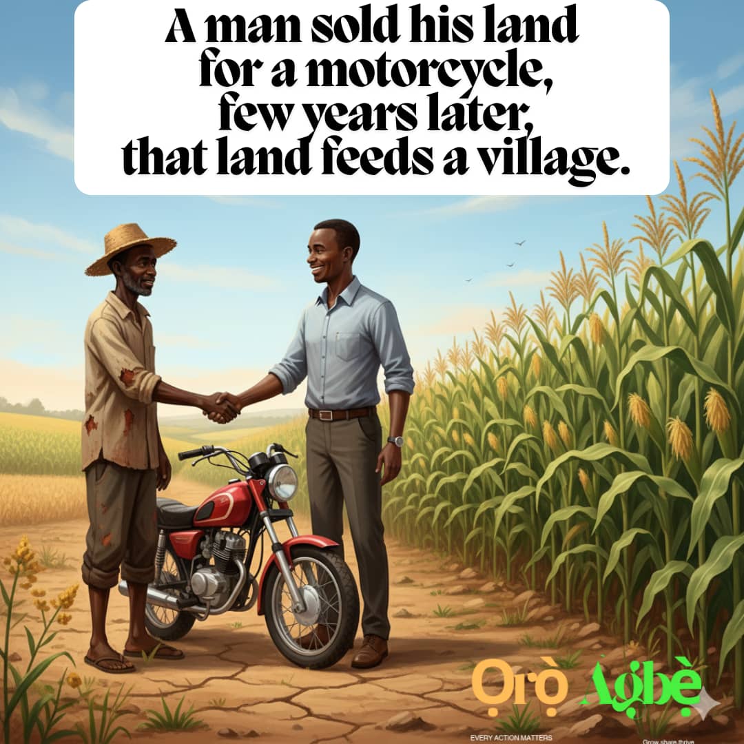Daniel Ogunsola tweet media