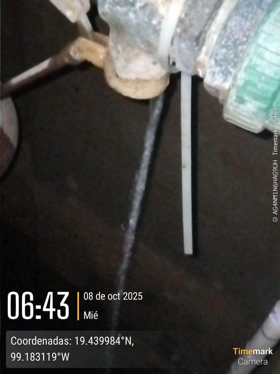 <a href="/SEGIAGUA/">Secretaría de Gestión Integral del Agua</a> <a href="/ParquesPolanco8/">#ParquesPolanco 🌳</a> <a href="/Altancvv/">NCVV</a> <a href="/mauriciotabe/">Mauricio Tabe Echartea</a> <a href="/AlcaldiaMHmx/">Alcaldía Miguel Hidalgo</a> <a href="/PericoDS/">PericoDS</a> <a href="/TipsmejorarDF/">TipsmejorarDF</a> <a href="/rafaelmart30/">Rafa</a> <a href="/DianaArenzana/">Diana</a> <a href="/vicklozaid/">vick lozeid</a> <a href="/flordenady/">Nadiecita_tururú</a> <a href="/ELCesarMartinez/">cesar martinez ™️™️👌⚜️</a> <a href="/Elycdmx/">ladyguitar</a> <a href="/gerardobederick/">Gerardo</a> <a href="/evilkpcc/">KPCC</a> <a href="/leomichaus/">Leonardo Michaus.</a> <a href="/carolina_lopezc/">Crispy Lamb</a> <a href="/pauloelifaz/">Paulo Andrielli</a> <a href="/angie_moralesm/">Ⓐⓝⓖⓘⓔ🪬</a> <a href="/p1chagoya/">Umbral Polanco 🌳</a> <a href="/LagoAlbertoMH/">#LagoAlberto 🚴🏻‍♂️🌳</a> <a href="/PoligonoMH/">Polígono MH</a> <a href="/Vanis2024/">Vanina Scaldaferri</a> <a href="/cdcasillas/">Columba Casillas O</a> <a href="/LetiMinero/">Letitbe60</a> <a href="/RuthCoos/">Ruth Coos</a> <a href="/c38b24918b36495/">ROCIO SANABRIA</a> <a href="/pp_hrico/">patrick</a> <a href="/adnnoticiasmx/">adn Noticias</a> <a href="/colanahuac_cdmx/">Colonia Anáhuac CDMX</a> <a href="/Rluna92/">Rluna9</a> <a href="/Jerry10091/">Jerry1009</a> <a href="/monipozz/">p mnk</a> <a href="/mauriciotabe/">Mauricio Tabe Echartea</a> <a href="/ClaraBrugadaM/">Clara Brugada Molina</a> <a href="/SEGIAGUA/">Secretaría de Gestión Integral del Agua</a> Desde 2/octubre poca caída de agua, afectando a 2,000 familias de #BeGrandPolanco que no tienen suministro de agua potable.
Se levantan folios, reportes y se busca a las autoridades.
RESUELVAN #ArreglenLagunaDeMayrán