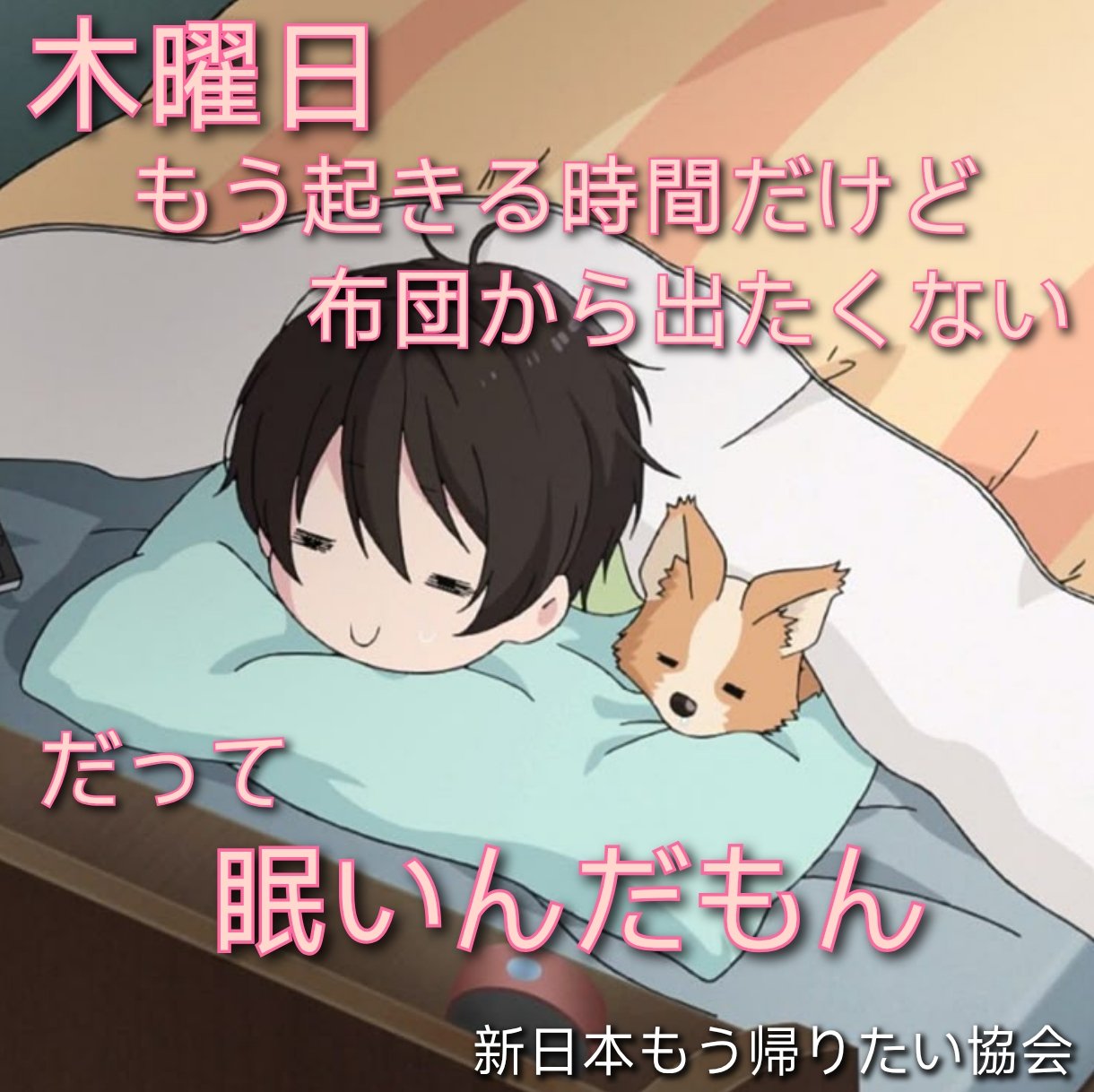 ひでぴょん (@PyonPyon_hydey) / X