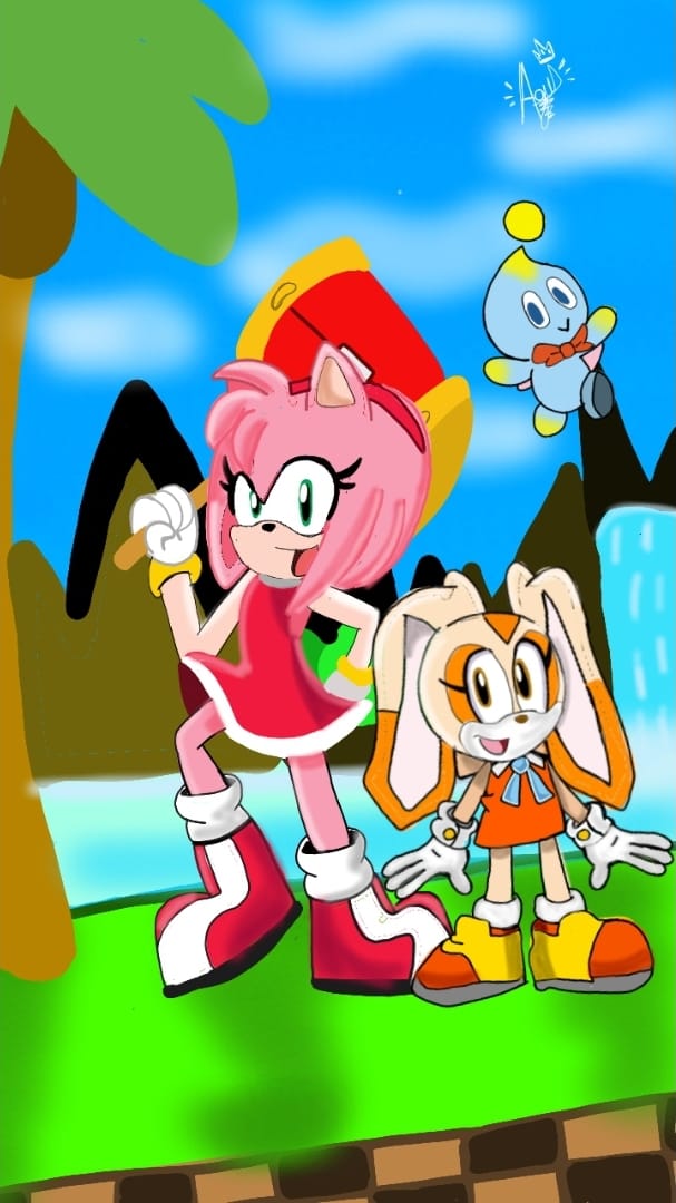 AgusTailsHero's tweet image. #SonicTheHedgehog #amyrose #CreamTheRabbit 
:D