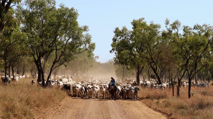 Australian Beef Sustainability Framework tweet media