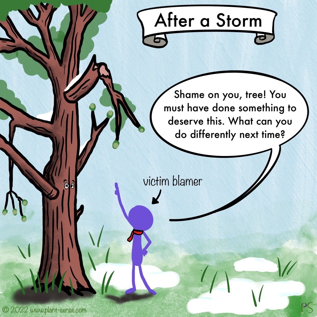 How hypocrite normies treat incels