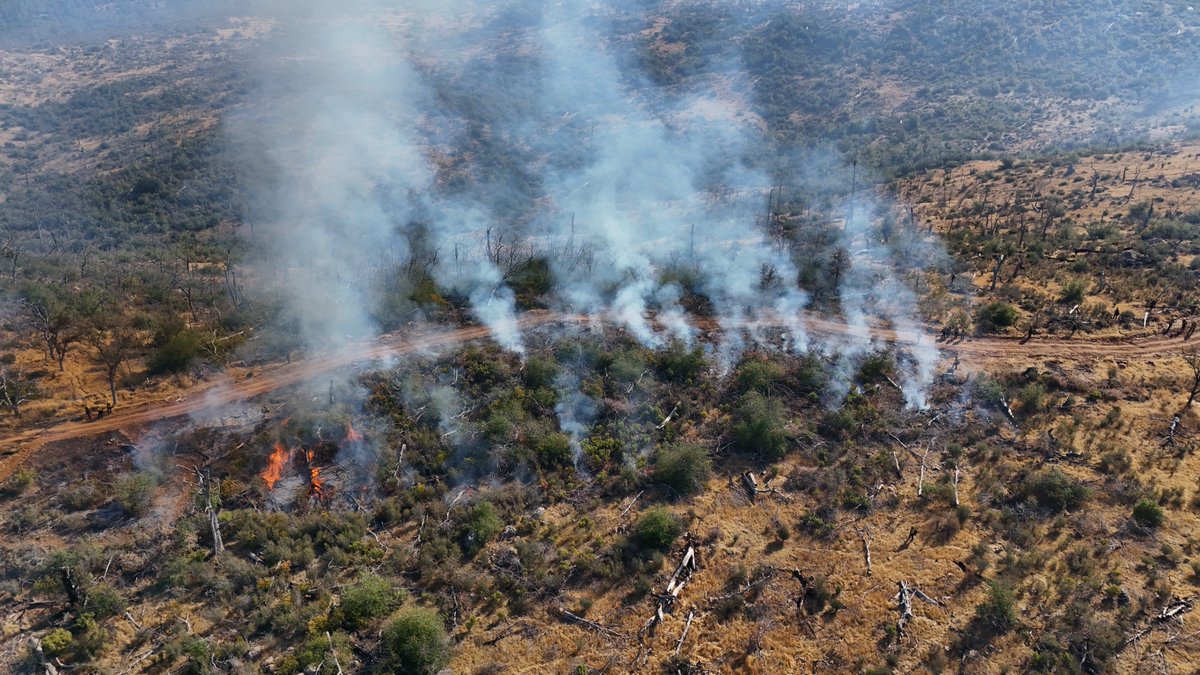 CALFIRE_ButteCo's tweet photo. The #PhoenixVMP shows the full progression of a vegetation management project — from overgrown fuels to a safer, more resilient landscape. https://t.co/EYE5b04cww