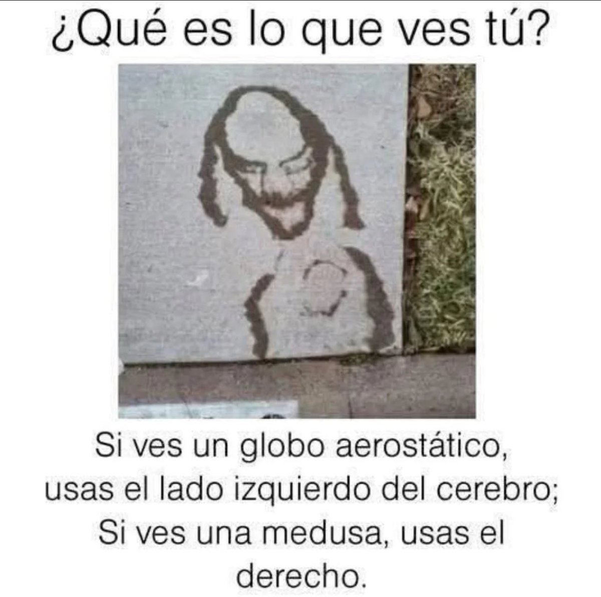 Rincón Curioso tweet media