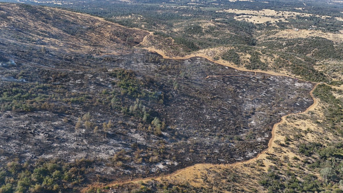CALFIRE_ButteCo's tweet photo. By safely removing excess fuel, we reduce the intensity of future wildfires and protect nearby residents — turning potential risk into community protection.
#GoodFireGoodFuture #VegetationManagement #PhoenixVMP https://t.co/cNRyztmkGL