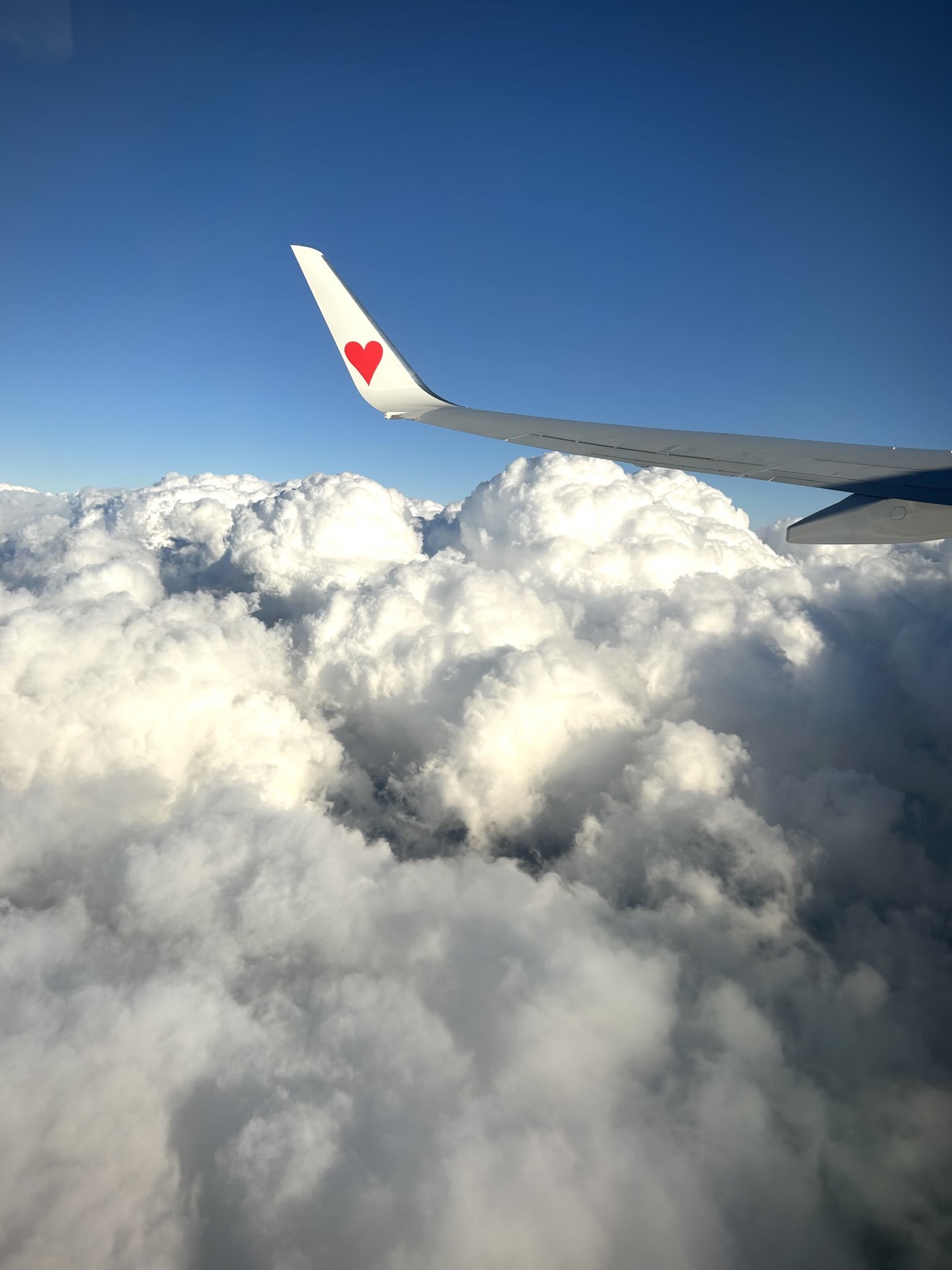 ウキマ✈︎エアライン柄マスキングテープ発売中 (@ukm42195) / X