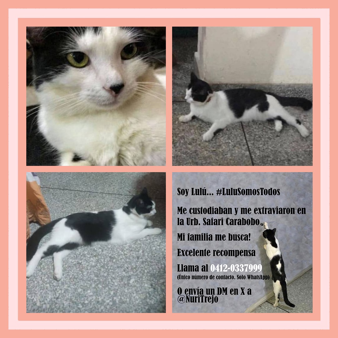 Nutrecajo tweet media