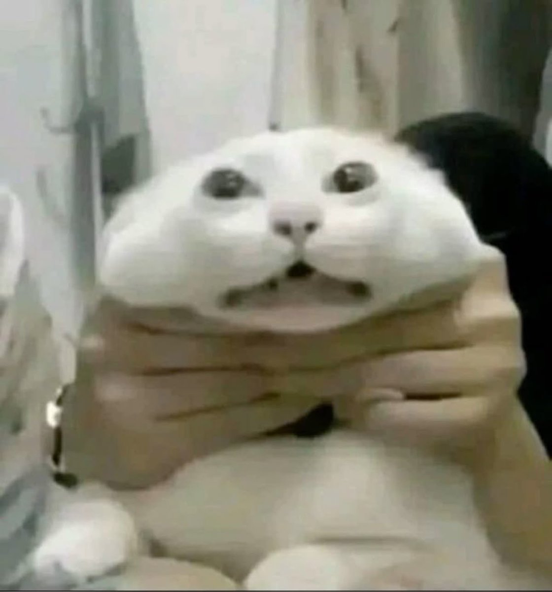 Post flopped so hard im gonna post it on halloween day instead