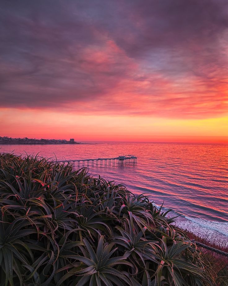 When the horizon swallows the fire.