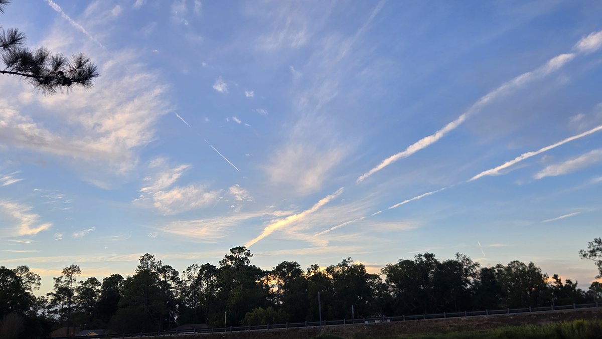 dadpack86's tweet photo. #chemtrails #geoengineeringwatch #WeatherModification @GeoWatchGallery @SCweather_wx They are going very hard in the paint here in SouthEast GA, mornings have been dense fog with very humid stagnant air days. https://t.co/WjsvyQzVgk