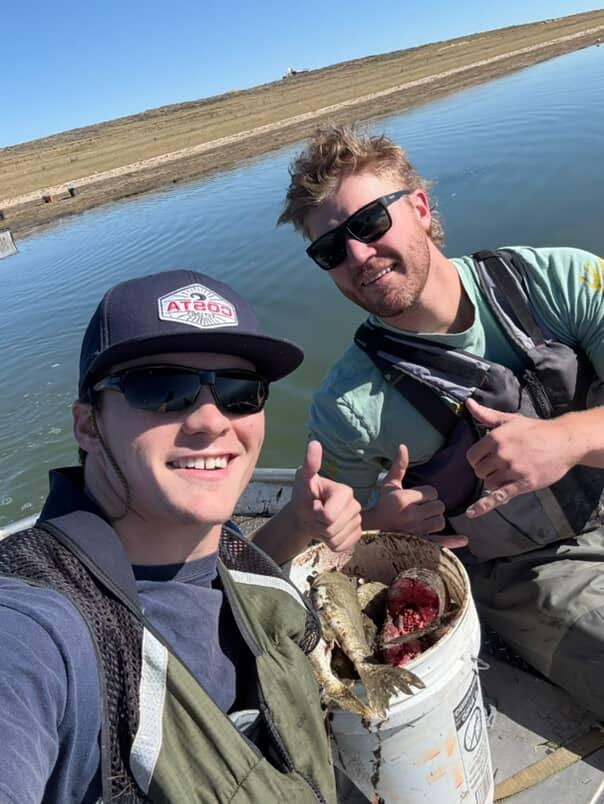 Our awesome MS students helping Wyoming Game and Fish on gill netting operations. Tommy Furland and Caleb Camus join the lab for our National Science Foundation Project on environmental change, ecology and evolutionary change, and recreational fisheries in the Mountain West.