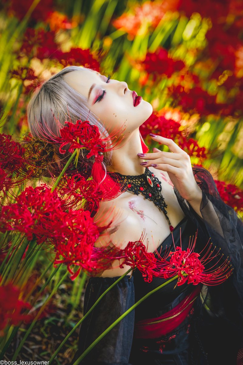 boss_lexusowner's tweet image. Request photography
2025.09.26
Model:Ayaさん
@Ay_yn_ 

#曼珠沙華 #彼岸花 #clusteramaryllis
#portrait #portraitphotography