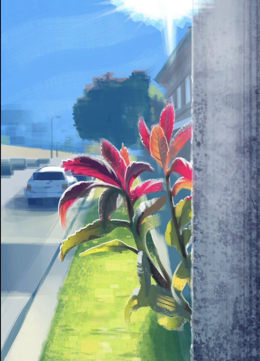 Duvi 🐻‍✨ tweet media