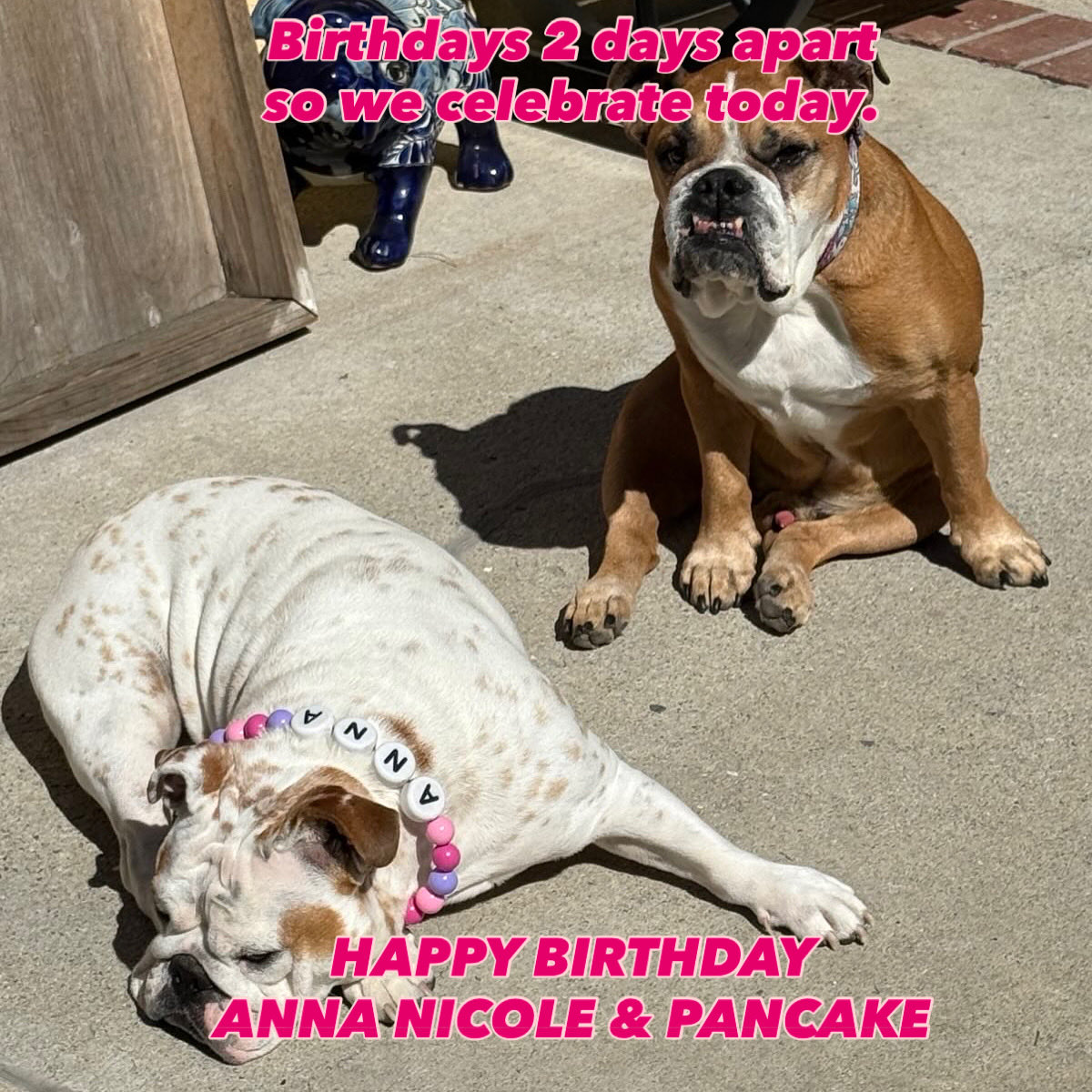 Happy birthday to these two knuckleheads. <a href="/DollyCakes78/">DollyCakes78</a>