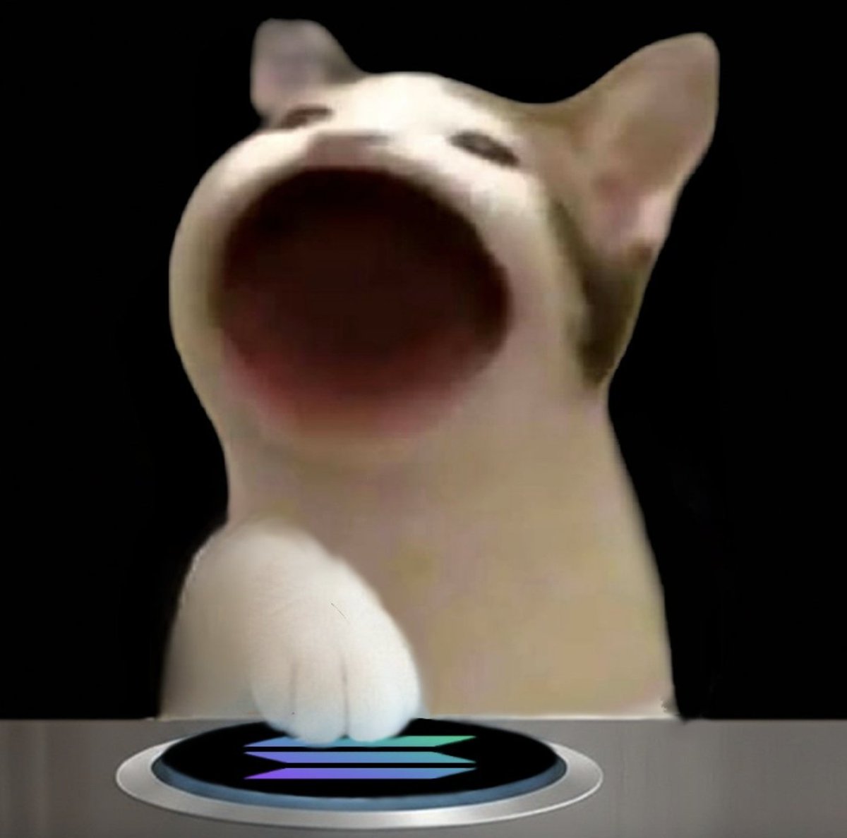 ポップする猫をフィーチャーしたPOPCATのミーム画像