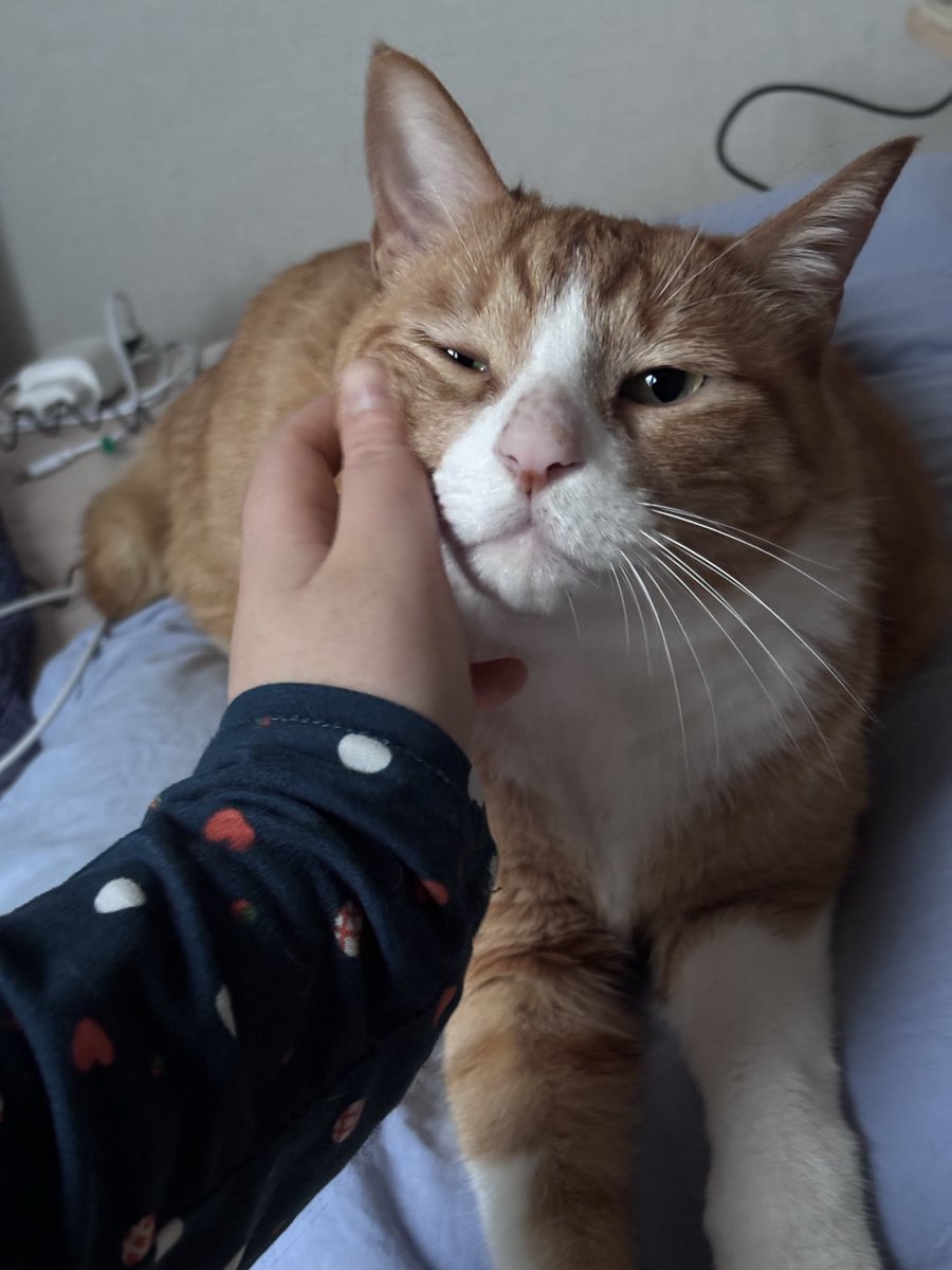 김민국 (@minkookcheese) on Twitter photo 