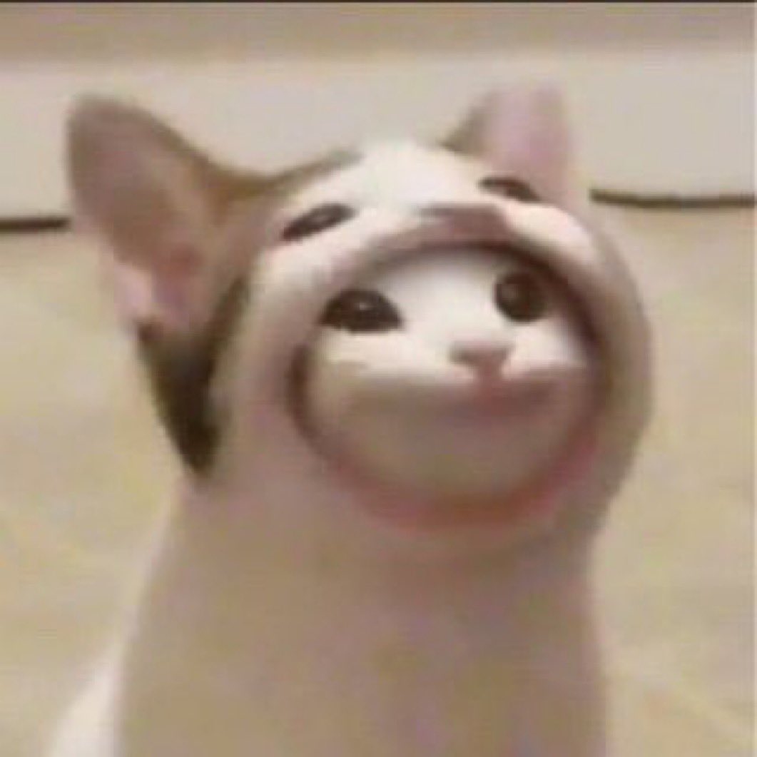 トルコの猫参照を含むPOPCATプロモーション画像