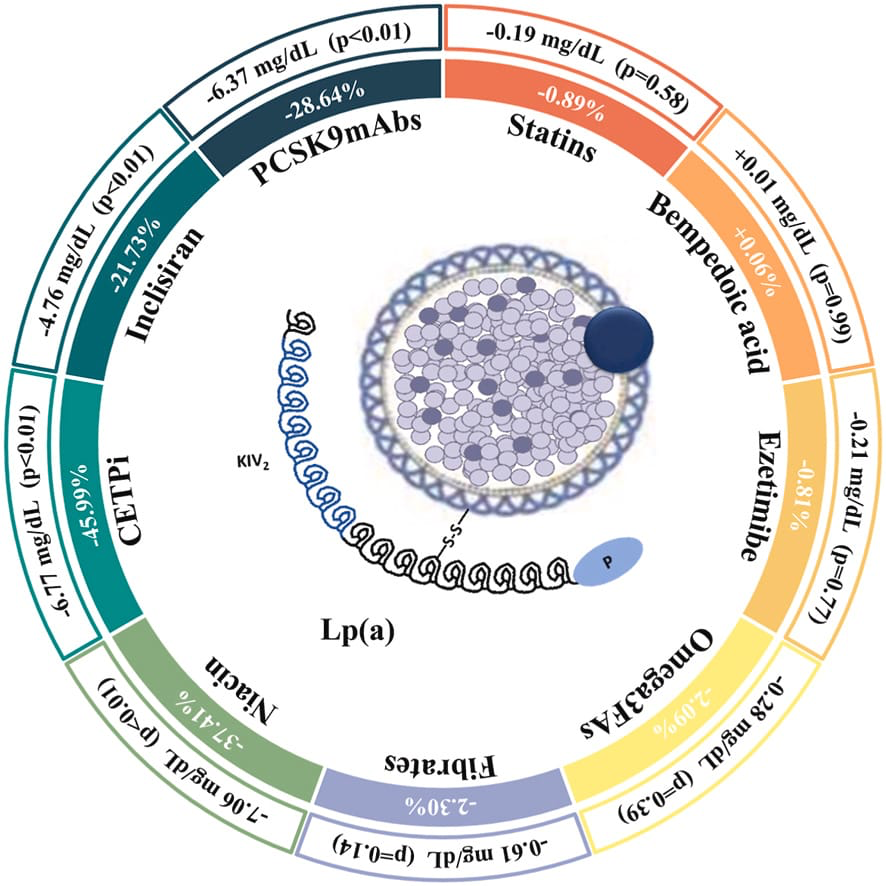 Effect of Lipid Lowering Therapies on Lp(a)

1️⃣ CETPi: −45.99% (−6.77 mg/dL)
2️⃣ Niacin: −37.14% (−7.06 mg/dL)
3️⃣ PCSK9 mAbs: −28.64% (−6.37 mg/dL)
4️⃣ Inclisiran: −21.73% (−4.76 mg/dL)
5️⃣ Fibrates: −2.30% (−0.61 mg/dL)
6️⃣ Omega-3 FAs: −2.09% (−0.28 mg/dL)
7️⃣ Statins:
