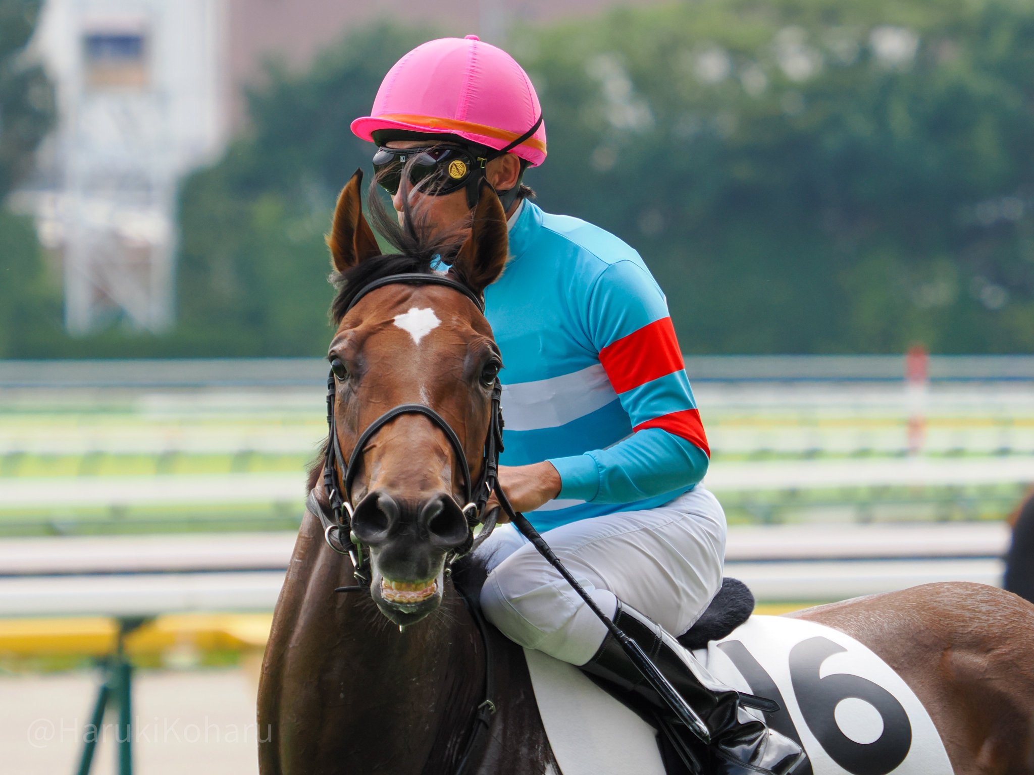 【König】羅馬東京間飛行記念 九三式中間練習機 赤とんぼ 霞ヶ浦海軍航空隊 の展示中