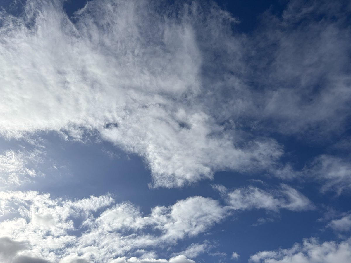 おはようございます🌤️20℃✨

今日はトラックの日🚚🛻

大事な荷物を運んでくれてありがとう😊

土曜日は白石島で花火があります🎇楽しみ💛

皆様良い一日をお過ごしください🌼

#イマソラ　 #写真好きと繋がりたい