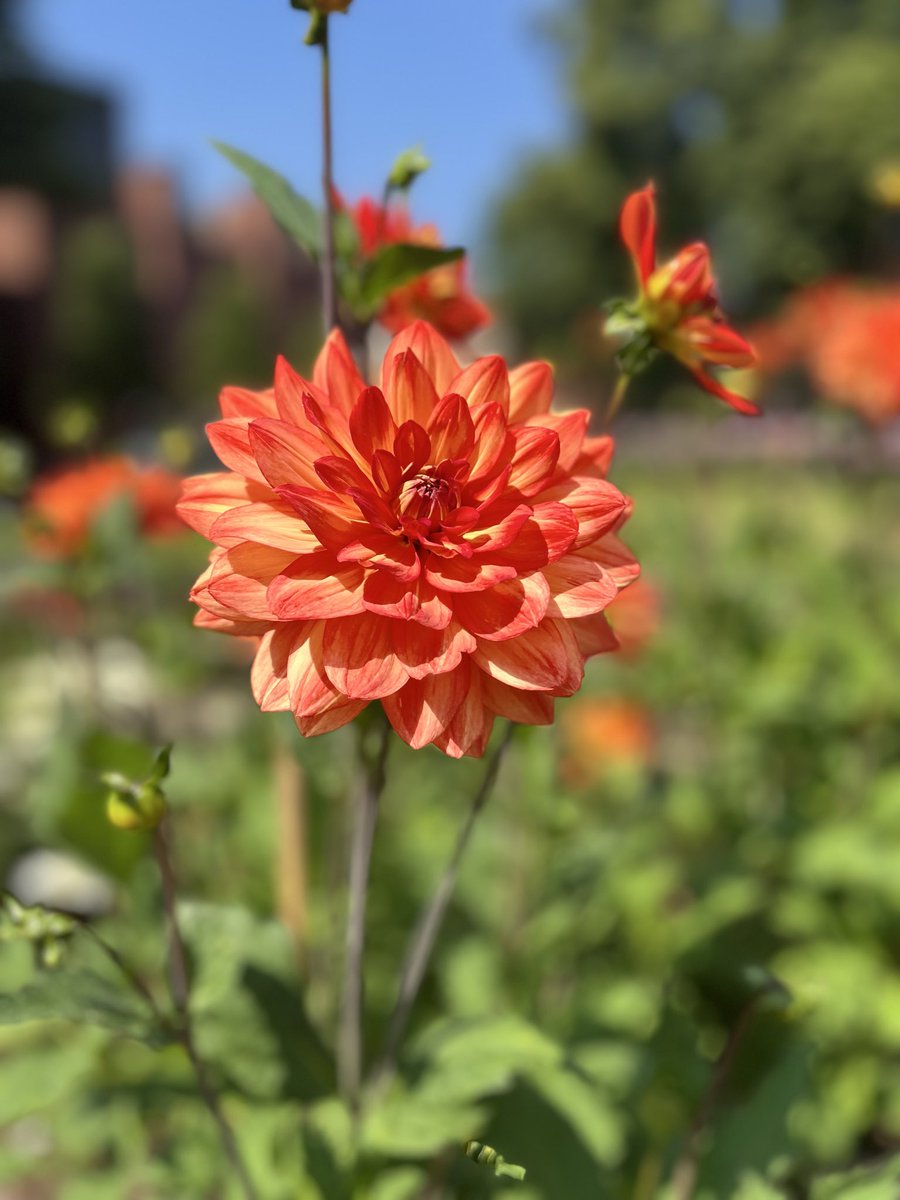 With him, I can be angry, sad, jealous, or fragile,
because in his eyes, every version of me is still loved.
He never ask me to be perfect, only to be real.
And in that honesty, we grow.
If love feels this safe,
why would I ever look for a way out?

-Anonymous-