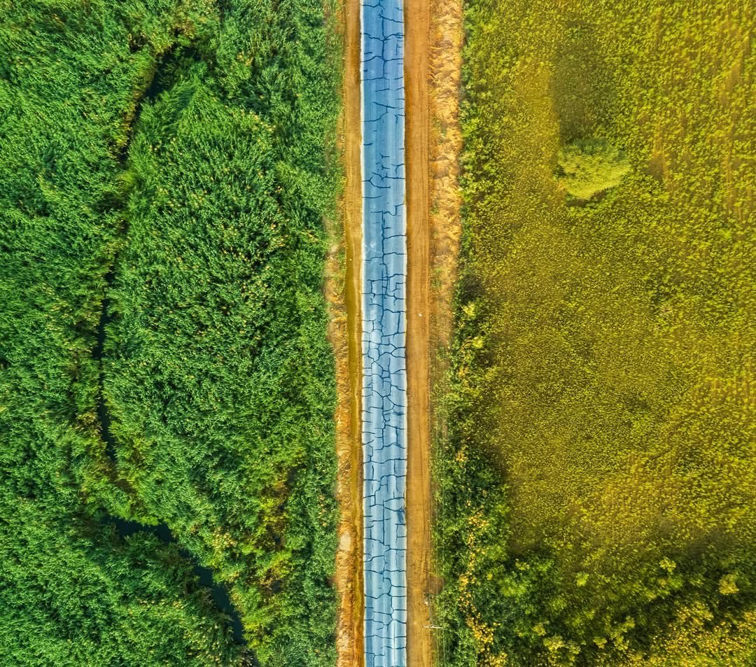 الطبيعة تُغني .. حين تجد من يصونها 🌴💚