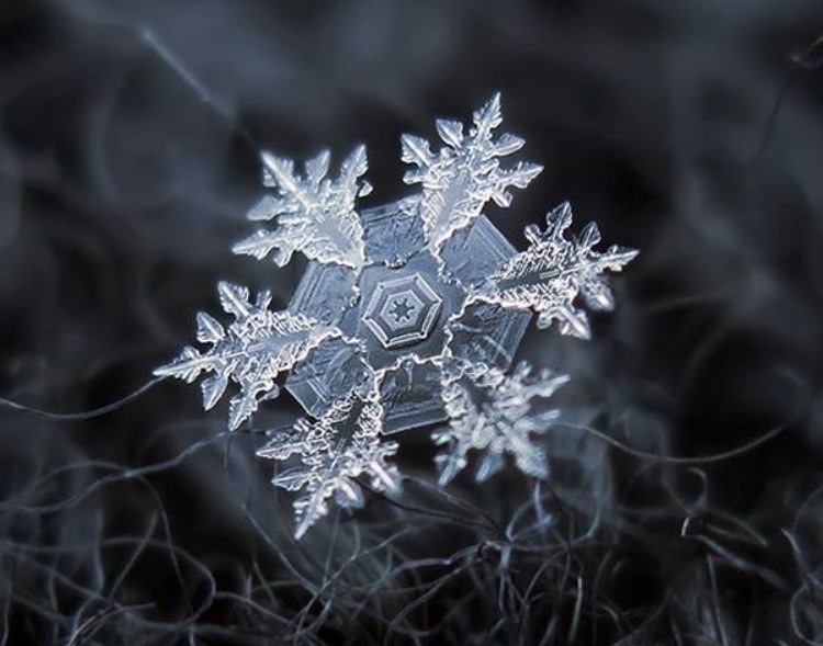 La geometría, germen del orden humano.
...y ni hablar de los hexágonos y su impacto en los imaginarios de la arquitectura.
Fotografía de Alexey Kljatov.