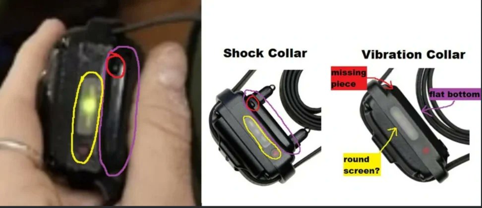 Kyle Thorsen tweet media