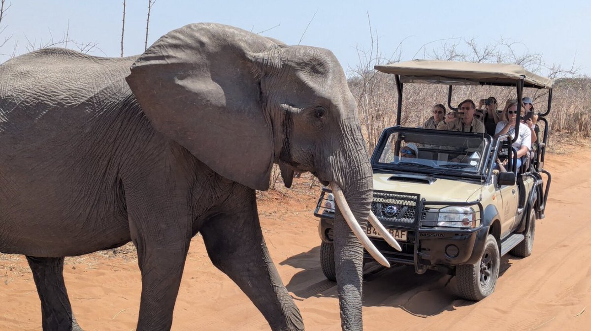 familytravel4um's tweet image. A dream trip to South Africa? That’s an understatement. 🇿🇦Thanks to @CroisiEurope_RC , we spent 9 unforgettable days exploring by land and water — from posh hotels to river cruises and epic safaris.
Read all about it 👉
myfamilytravels.com/ultimate-south…
#FallTrips
