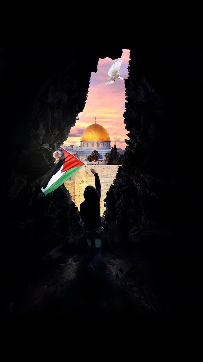 فلسطين حرة؛ دائمًا وأبدًا فلسطين حرة ♥️🇵🇸 .
