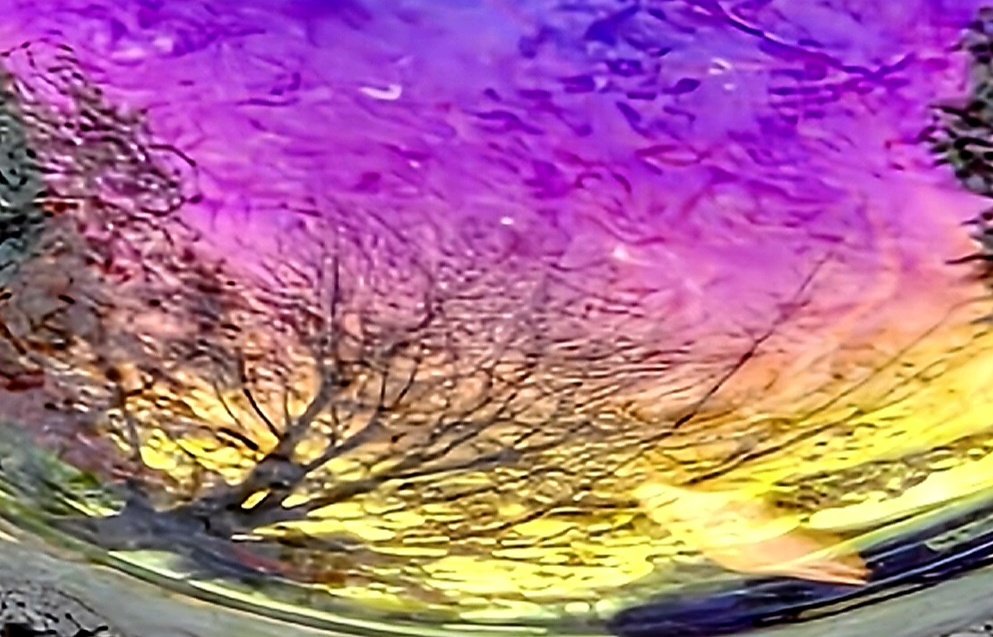 gastropod225061's tweet image. October 7th,2025,the colors from a bubble with the reflection of trees @weathernetwork @MurphTWN @KMacTWN @gtaweather1 @CTVKitchener #Wxwatcher @lisadrewradio @brittlestar @AMDaveintheAM @SpaceCoastSkies @FrankReardon1 @berryonline I might be older now, but I love blowing bubbles