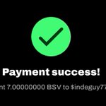 Photo by Singularity@584 (@BsvCrypto)