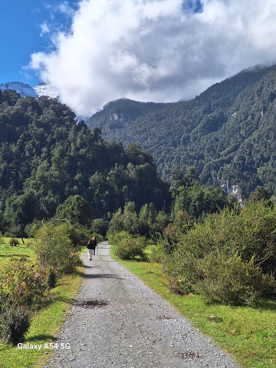 angus_67's tweet image. Q  bella es la patagonia ..hornopiren.