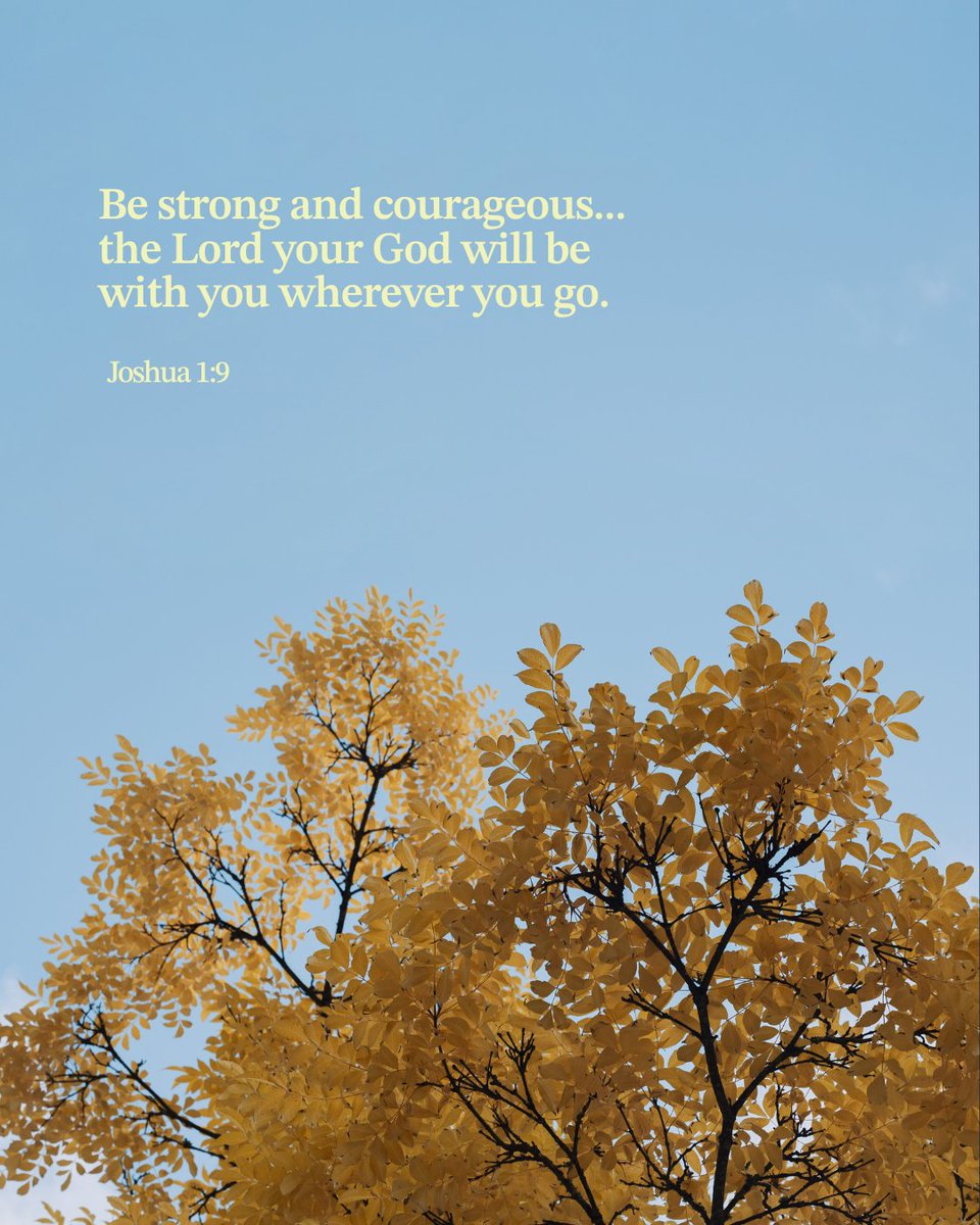 Guideposts's tweet image. Take a deep breath, lift your head, and move forward with faith. You’re surrounded by God’s love every step of the way. 💛 Get more comfort here: guideposts.org/shop/product/a…
#Guideposts #Faith #Encouragement