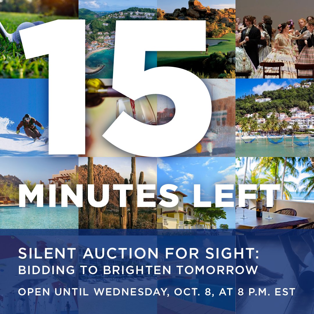 And we're down to the wire! The bids are coming in fast and furious—it's time to make your play. Grab that item you've been thinking about and help transform lives through sight-saving research. bit.ly/4nlD64k