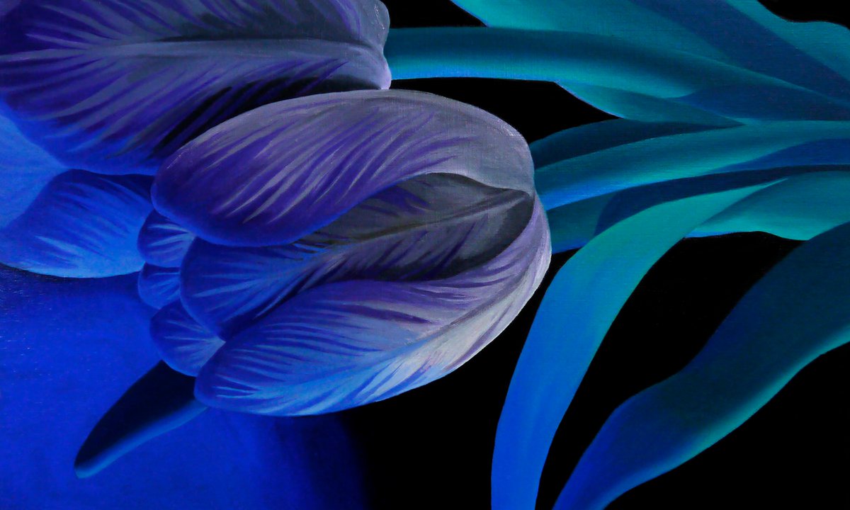 FINCH ARTS | フィンチアーツ tweet media