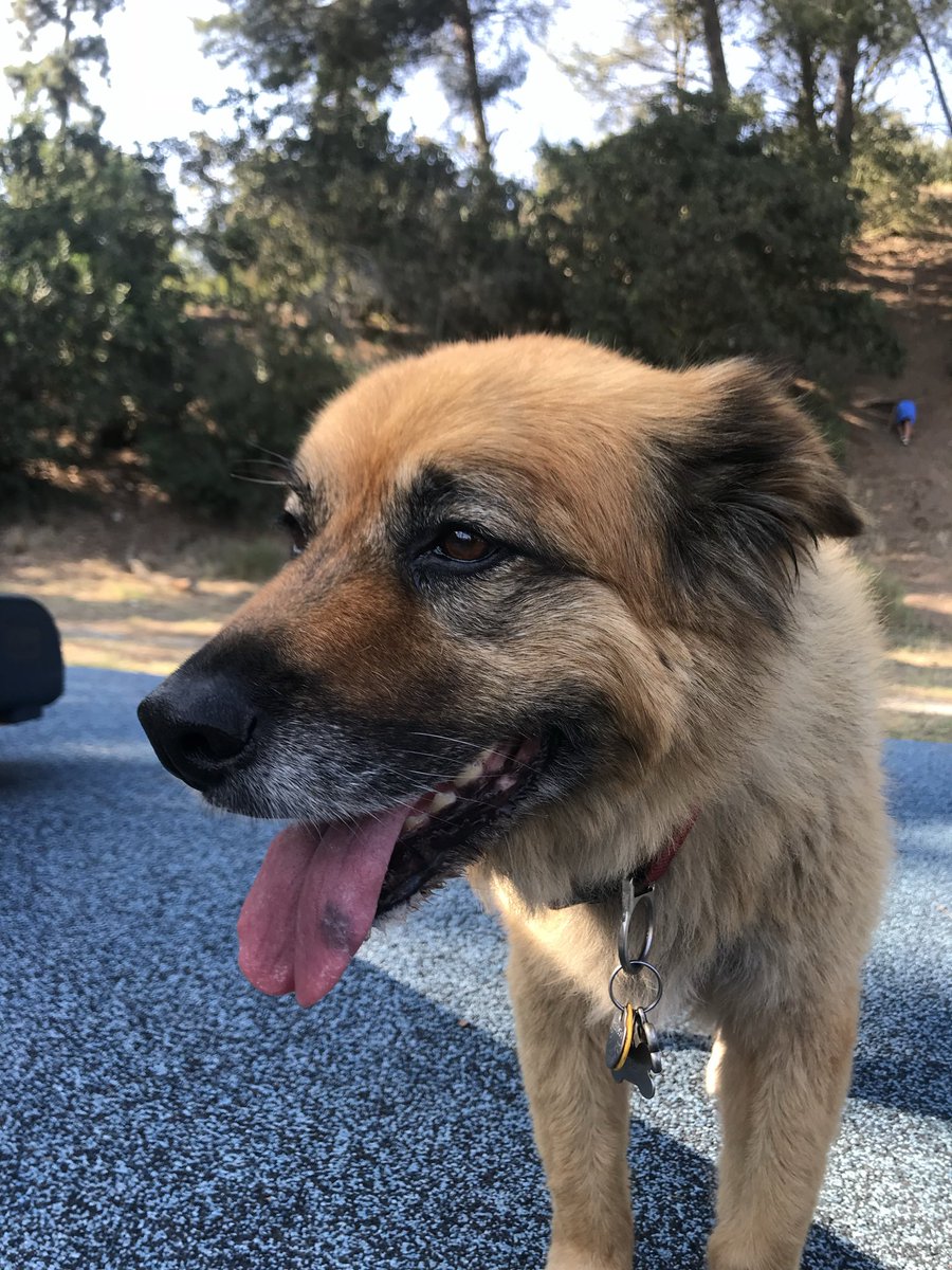 Danny Deraney tweet media