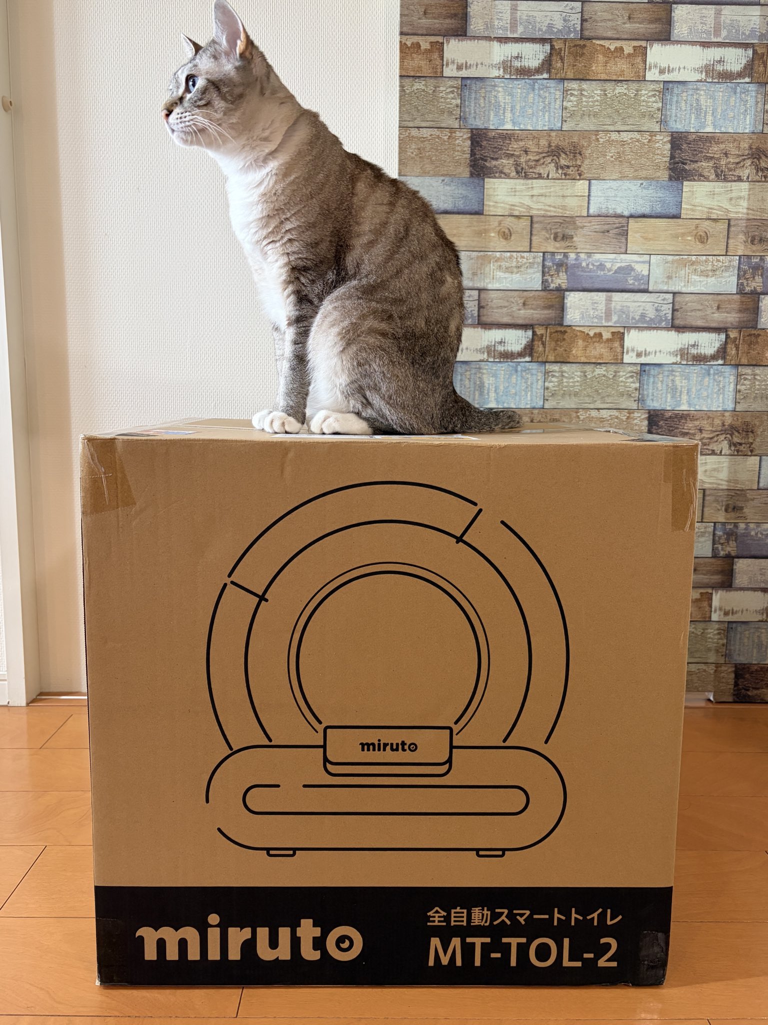 miruto 全自動スマートトイレ MT-TOL-2 全自動スマートトイレ(猫用) | miruto公式