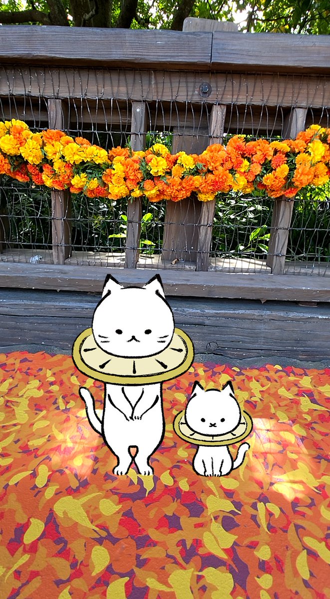 Yukari_sarang03's tweet image. 関西から来てくれた友達とディズニー遊びに行ってきた🐚ハロウィーン楽しい🎃🎬リメンバーミーの世界に飾られたエリアがあって、大人気だった✨れもねこちゃんをおいて写真とってみたよ🙌
#れもねことお出かけ 
#上白石萌音105 #lemonedo