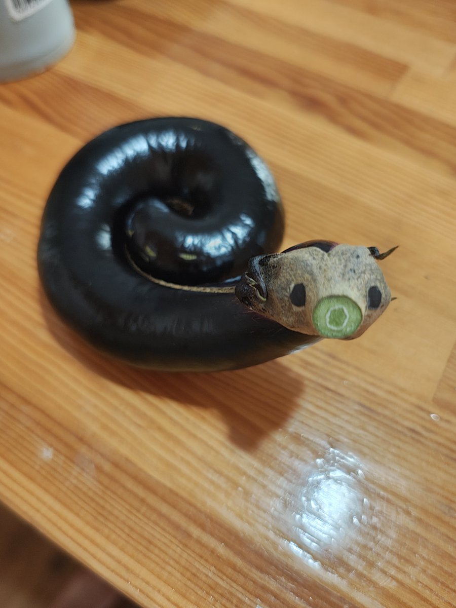 うちで取れたナス
面白い形してたからおめめ付けてみた