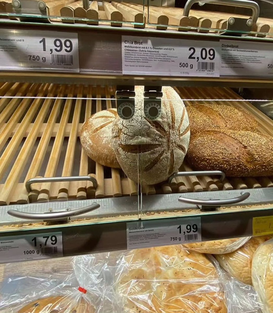 RaminNasibov's tweet image. 👀