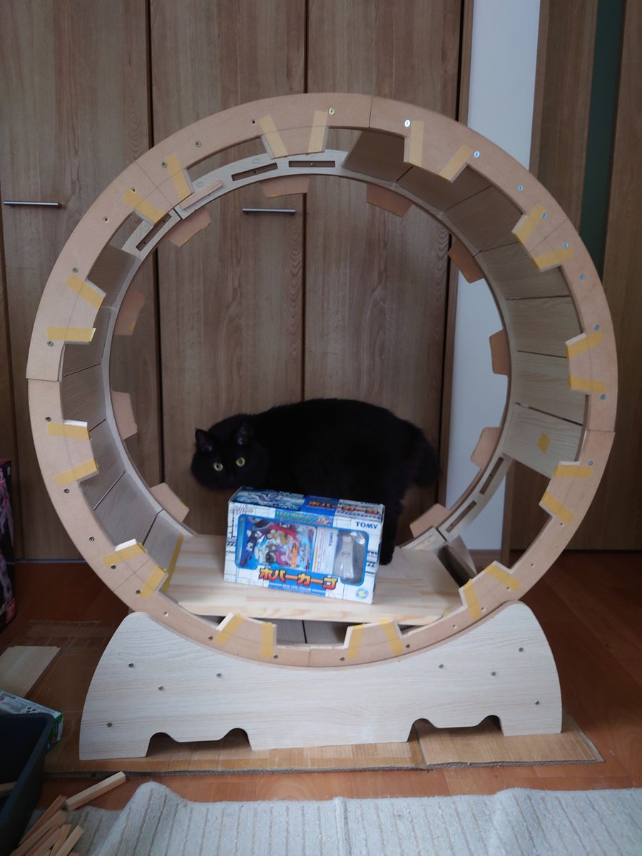 こんにちは住職です

去年の記憶を思い出し
補強しつつハッチを作っていこうかと

そしたら右ハッチより
家猫のニャイガー・クロが帰艦
早速取り付けたか下方台の点検にｗ

いずれ作っていく発射カタパルトにも
乗るんだろうな、、、

重量点検には重宝しますがｗｗ