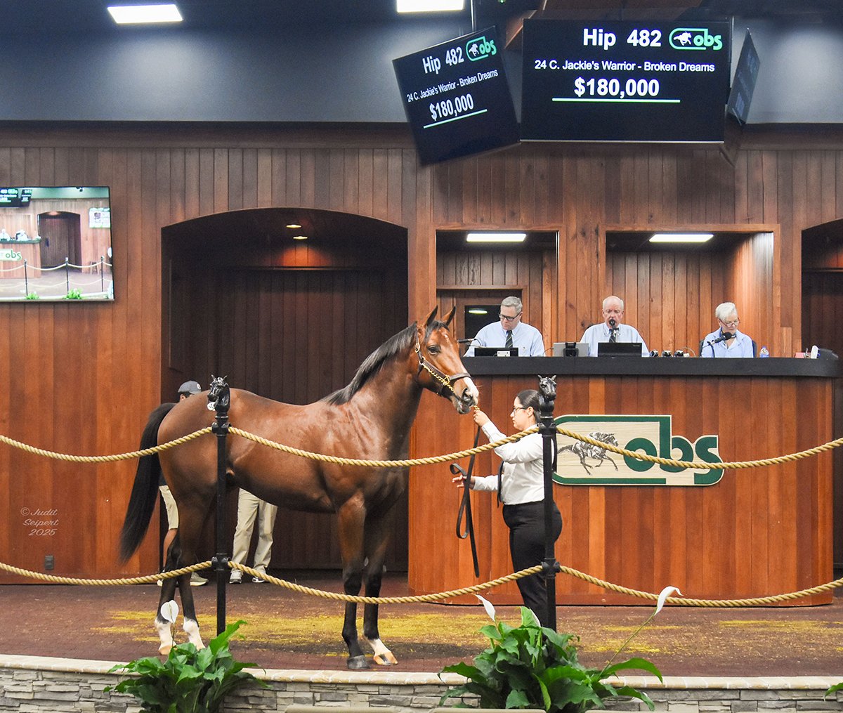 Inside This Issue of Wire to Wire 📣 Average <a href="/OBSSales/">OBSSales</a> Prices Increase Again Wednesday with Jackie’s Warrior Colt Best Seller 🍂 💰🐴 Read Now ⤵️
bit.ly/W2W8Oct25

🏇 <a href="/ArroyoBldstck/">Arroyo Bloodstock</a> #OBSOct @VideoHipico <a href="/TheBrockTalk/">Brock Sheridan</a> <a href="/TammyAnnGantt/">Tammy Gantt</a> <a href="/HipismoyPunto/">Hipismo.Net</a> #FloridaBred #Wire2Wire