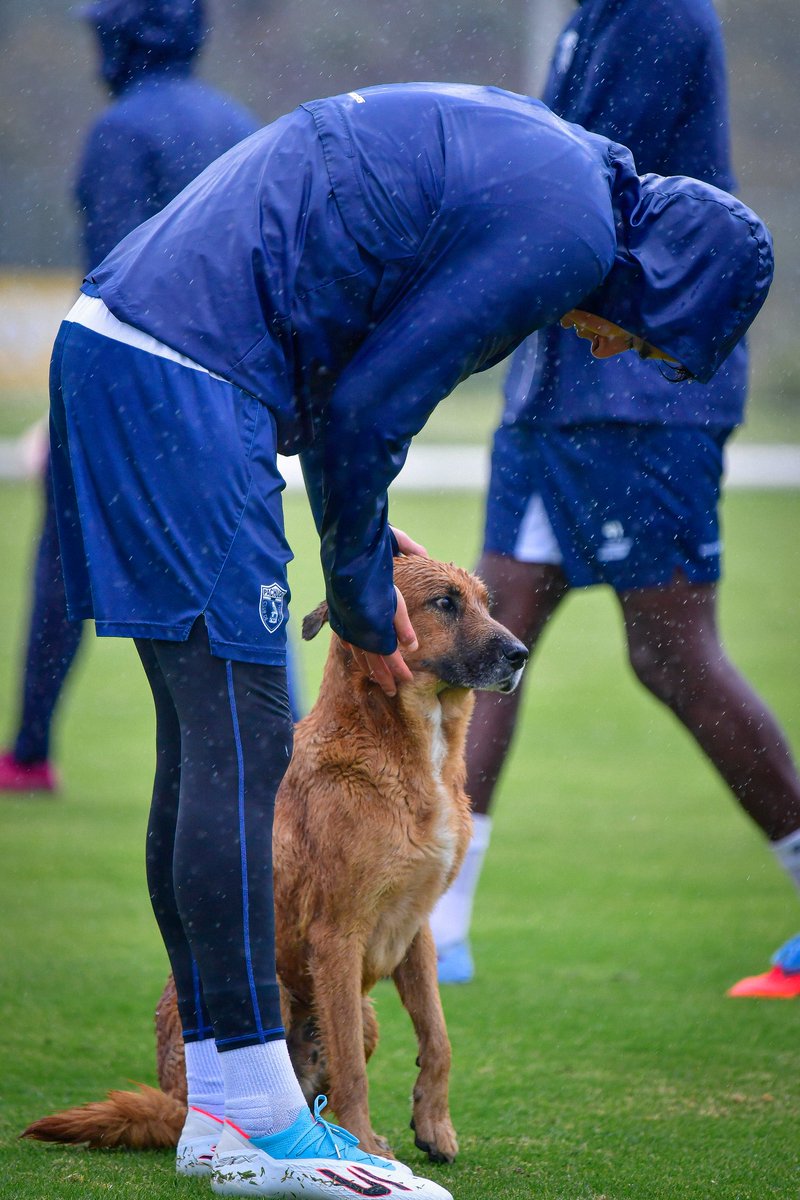 Tuzos's tweet photo. 🤍🐶💙 https://t.co/lKGtKKiIUU