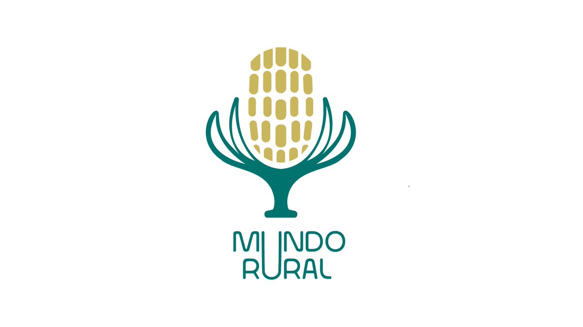 ¿Seremos capaces de salvar las abejas?
Radioclip en Mundo Rural.
Escúchenos aquí...
linktr.ee/jotacarlos5