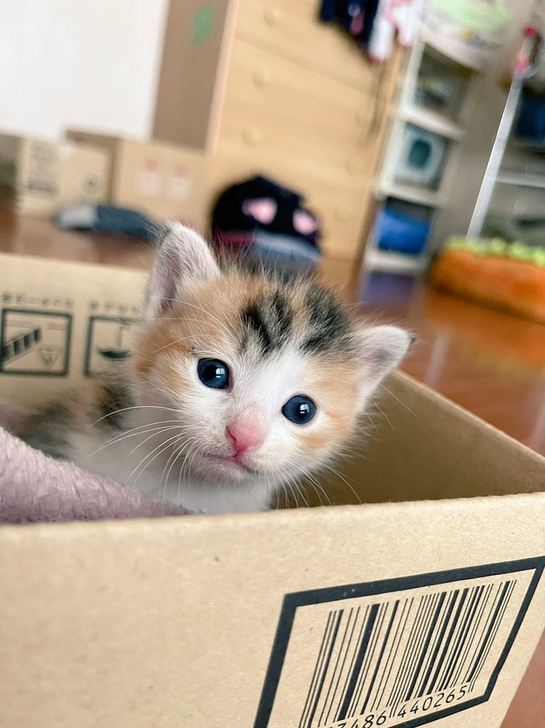 さんねんまえのきょうのらら！
ららのしゃしんにおじさんはめろめろ！